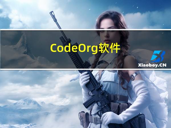 CodeOrg软件的相关图片