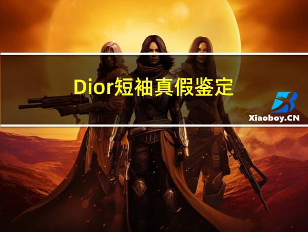 Dior短袖真假鉴定的相关图片