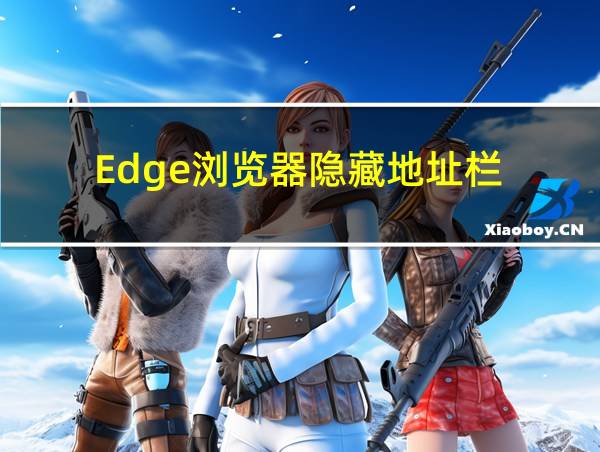 Edge浏览器隐藏地址栏的相关图片