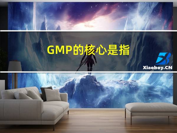 GMP的核心是指的相关图片