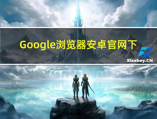 Google浏览器安卓官网下载的相关图片