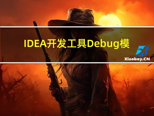 IDEA开发工具Debug模式下不进入函数内部的的相关图片