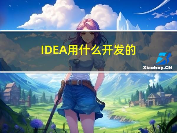 IDEA用什么开发的的相关图片