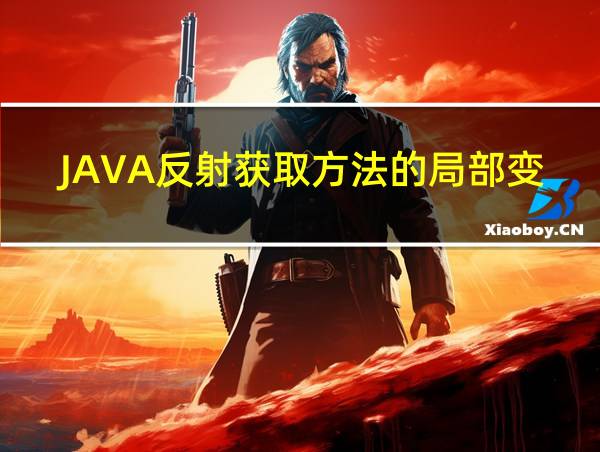 JAVA反射获取方法的局部变量的相关图片