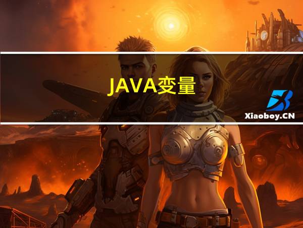 JAVA变量的相关图片