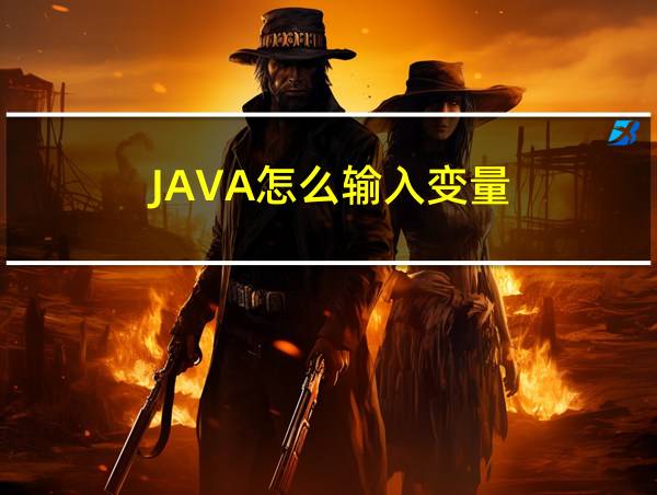 JAVA怎么输入变量的相关图片