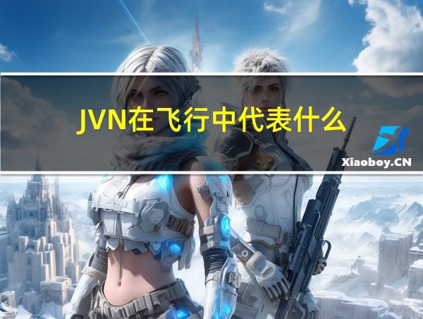 JVN在飞行中代表什么的相关图片