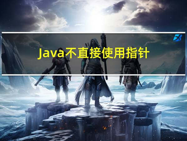 Java不直接使用指针的相关图片