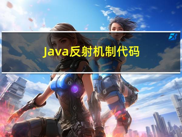 Java反射机制代码的相关图片