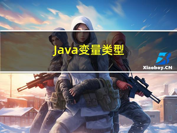 Java变量类型的相关图片