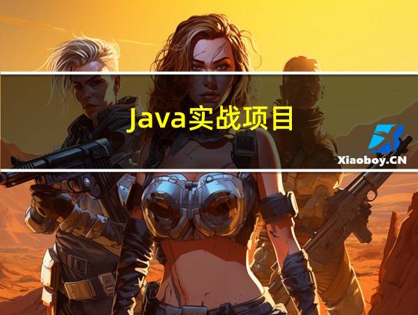 Java实战项目的相关图片