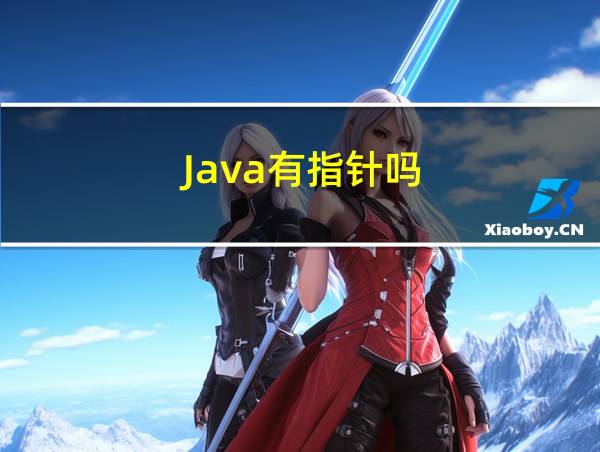 Java有指针吗的相关图片