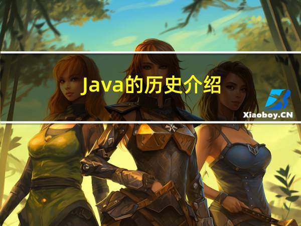 Java的历史介绍的相关图片