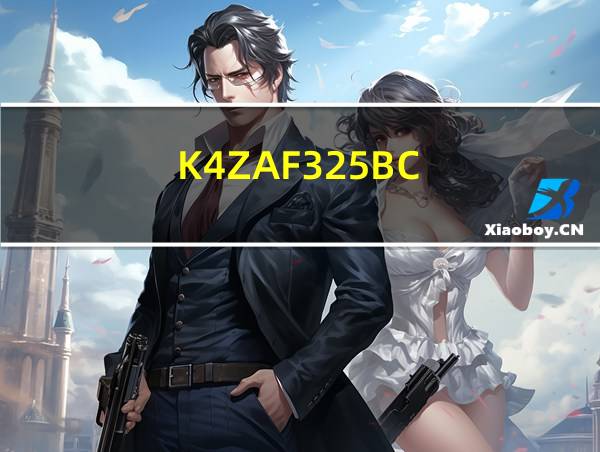 K4ZAF325BC-SC20的相关图片