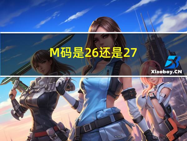 M码是26还是27的相关图片