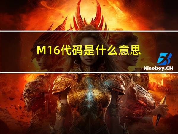 M16代码是什么意思的相关图片