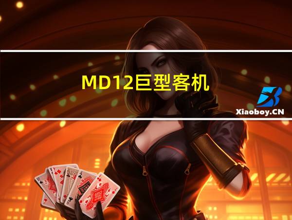 MD12巨型客机的相关图片