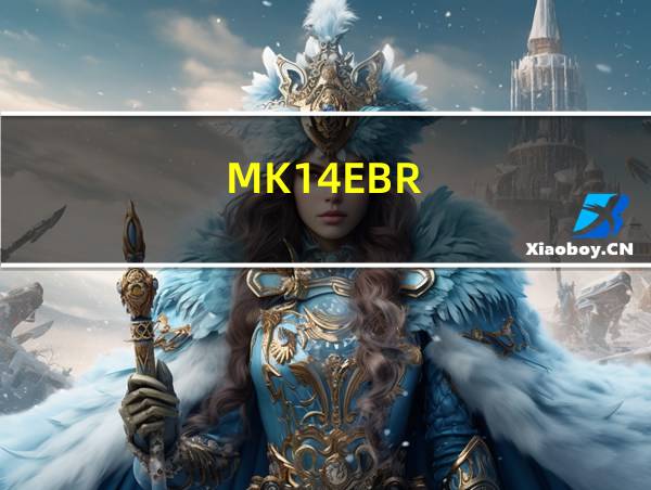 MK14EBR的相关图片