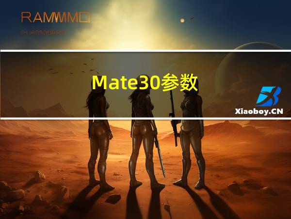 Mate30参数的相关图片