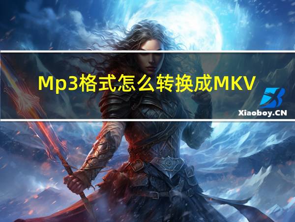 Mp3格式怎么转换成MKV的相关图片