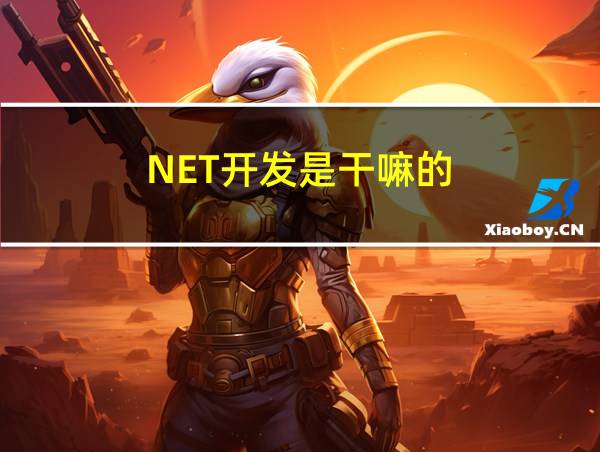 NET开发是干嘛的的相关图片