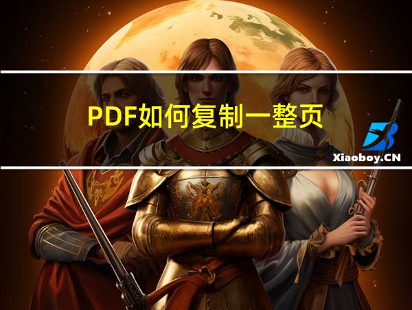 PDF如何复制一整页的相关图片