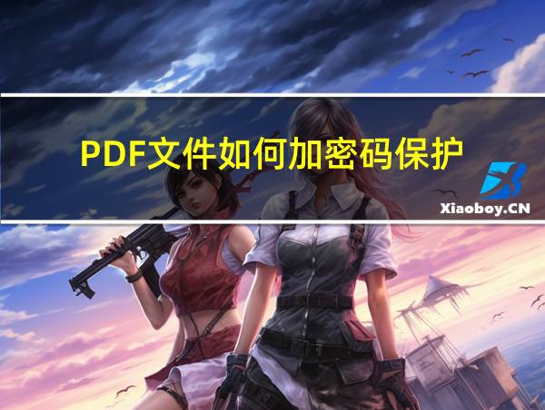 PDF文件如何加密码保护的相关图片