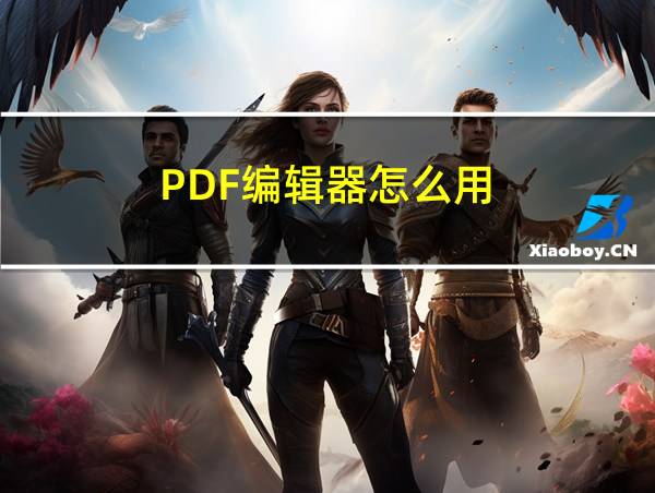 PDF编辑器怎么用的相关图片