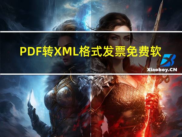 PDF转XML格式发票免费软件的相关图片