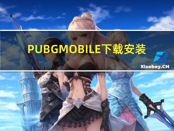 PUBGMOBILE下载安装的相关图片