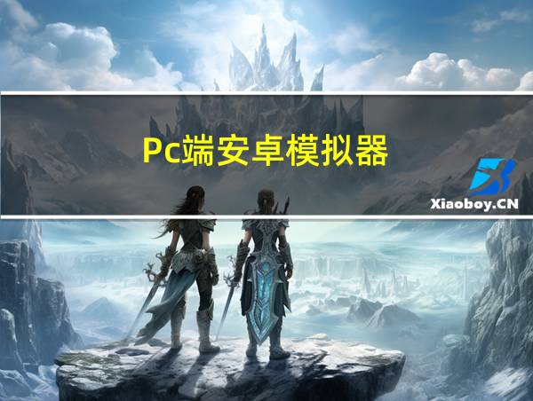 Pc端安卓模拟器的相关图片