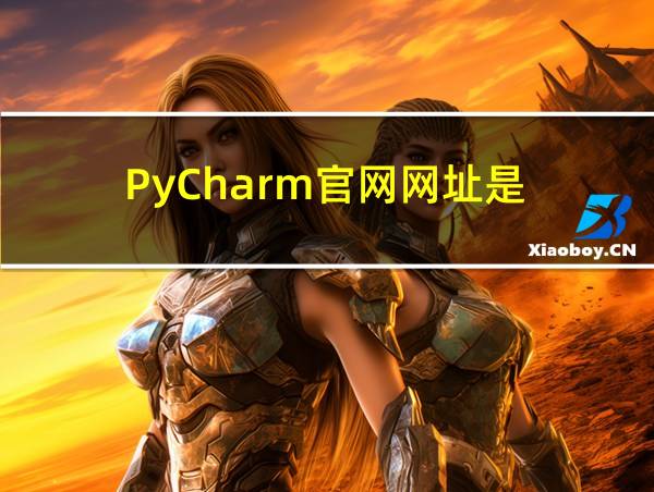 PyCharm官网网址是的相关图片