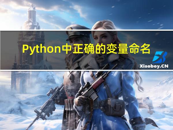 Python中正确的变量命名规则有的相关图片