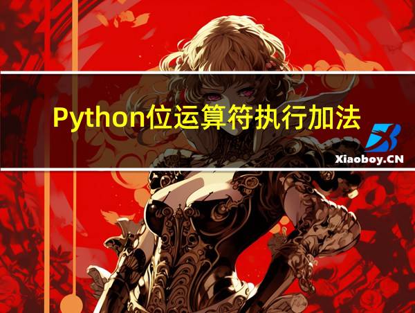 Python位运算符执行加法的相关图片