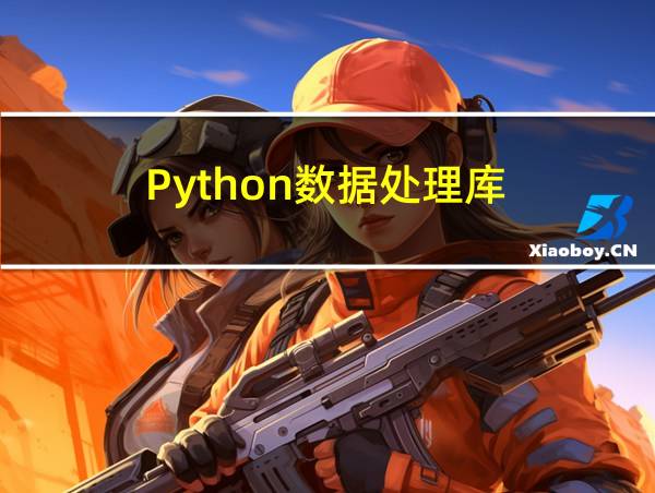 Python数据处理库的相关图片