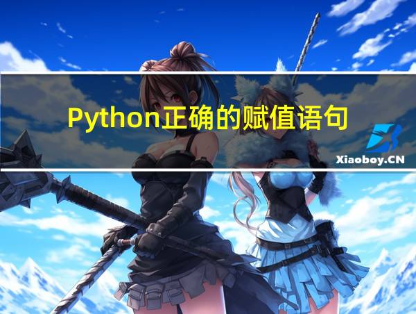 Python正确的赋值语句的相关图片