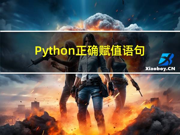 Python正确赋值语句的相关图片