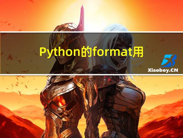 Python的format用法的相关图片