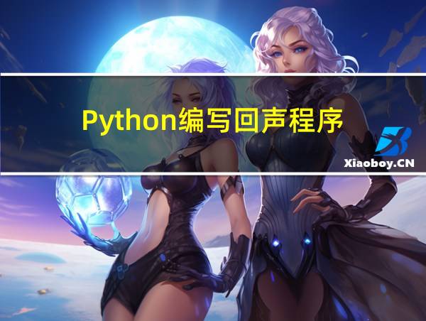 Python编写回声程序的相关图片