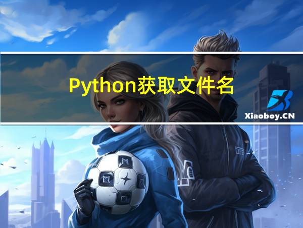 Python获取文件名的相关图片