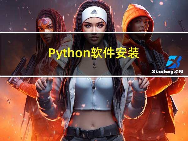 Python软件安装的相关图片