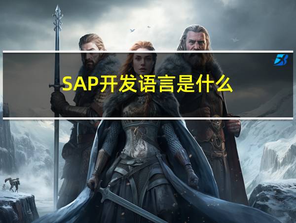 SAP开发语言是什么的相关图片