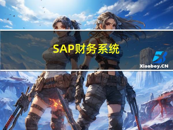 SAP财务系统的相关图片