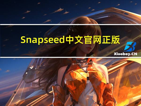 Snapseed中文官网正版的相关图片