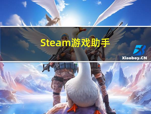 Steam游戏助手的相关图片