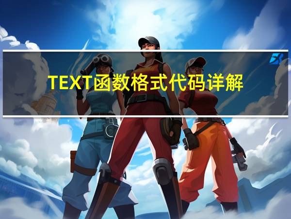 TEXT函数格式代码详解的相关图片