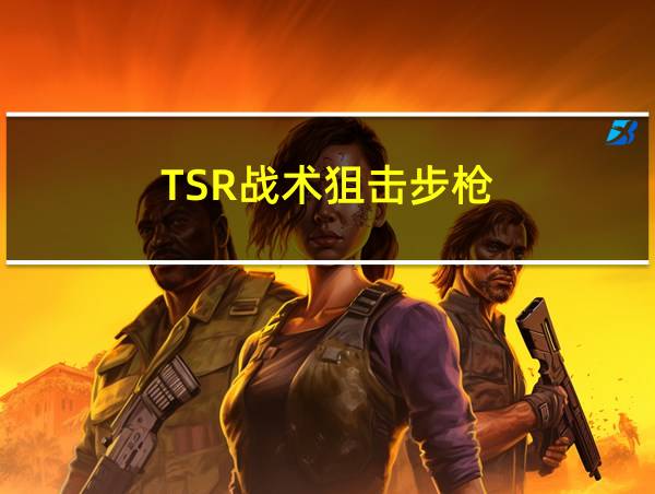 TSR战术狙击步枪的相关图片