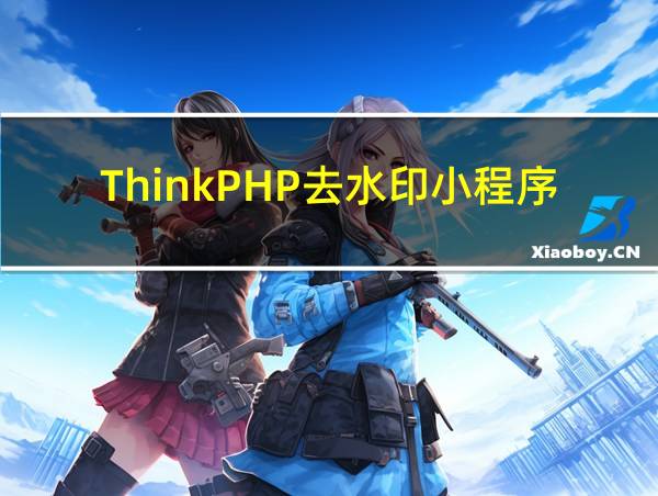 ThinkPHP去水印小程序源码的相关图片