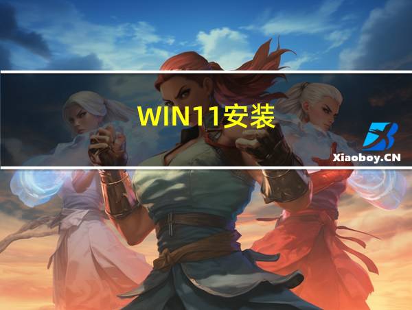 WIN11安装的相关图片