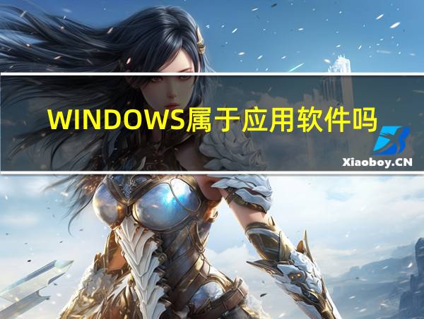 WINDOWS属于应用软件吗的相关图片